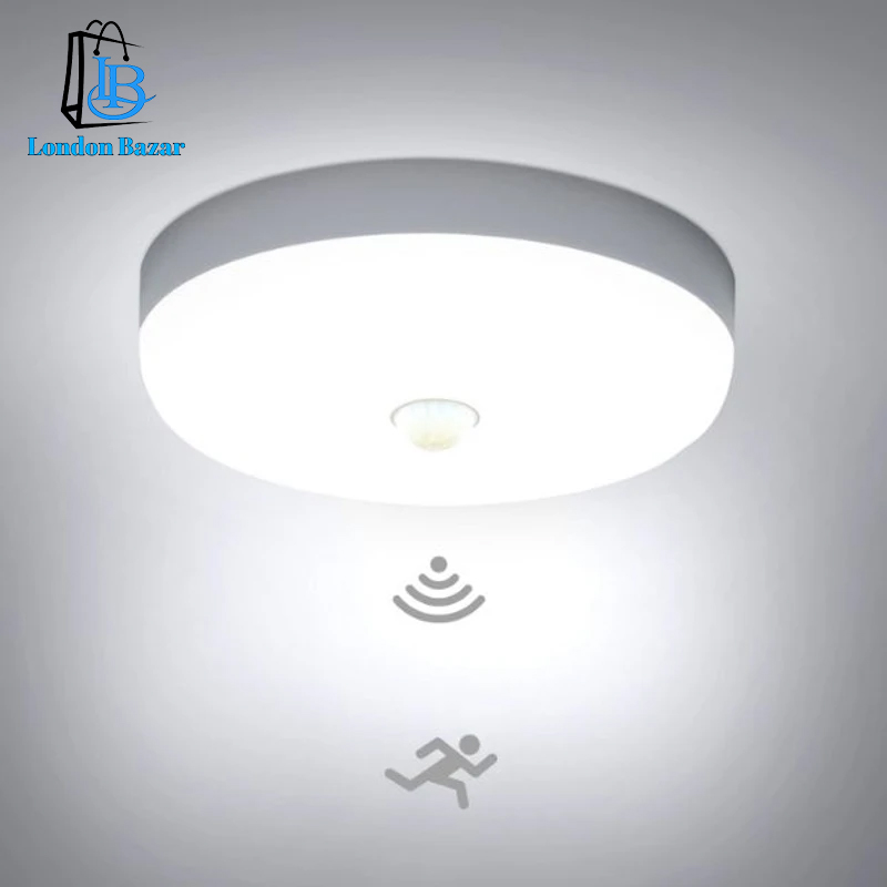 Motion Sensor Light